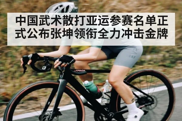 中国武术散打亚运参赛名单正式公布张坤领衔全力冲击金牌